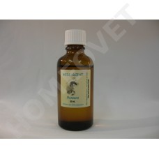 Essential pine needle - oil for the respiratory system
